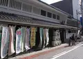 千代菊の写真_21487