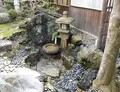 中村藤吉本店の写真_55950