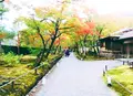 宝厳院の写真_241238