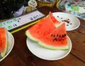 竜ヶ窪の池の写真_152935
