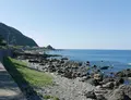 道の駅キラメッセ室戸の写真_46397