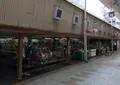 ソルパセオ銀座の写真_74732