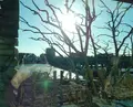 通圓 宇治本店 （つうえん） の写真_121543
