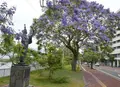よしちょうの写真_92415