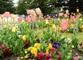 いつも花が咲いているの写真_32663