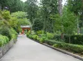 三室戸寺の写真_27372
