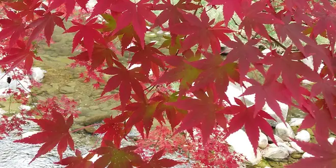 小さな子供とめいっぱい遊ぶ☆宮崎/山之口めぐり