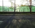 今宮神社の写真_129661