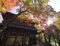 永源寺の写真_67129