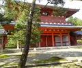 龍寶山　大徳寺の写真_233108