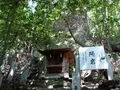 岩屋神社の写真_63348