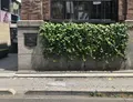 ラルフ ローレン表参道の写真_334385
