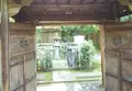 高桐院の写真_131513