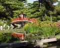 中津万象園・丸亀美術館の写真_46331