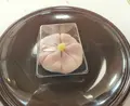 七條甘春堂 本店の写真_422177