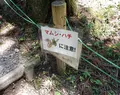 ２１世紀の森の写真_87474