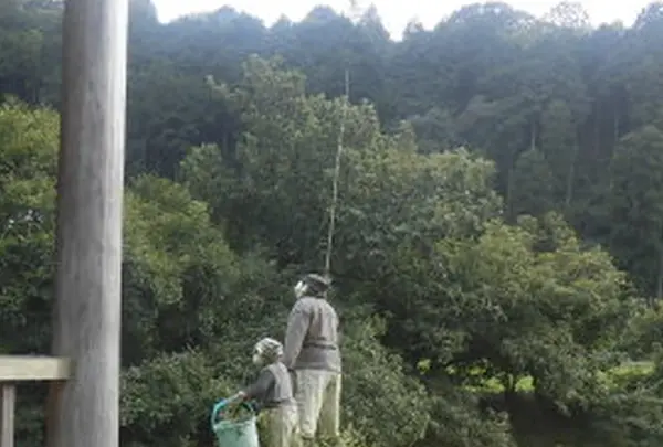 奥播磨かかしの里「ふるさとかかしギャラリー」の写真・動画_image_413771