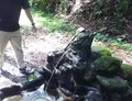 竜ヶ窪の池の写真_152947