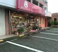 マリークレールの写真_147016
