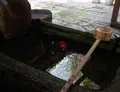 白雲神社の写真_71485