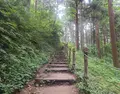 春日山城跡の写真_155167