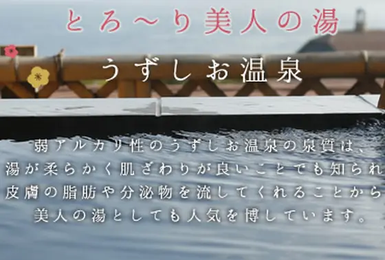 "美人の湯" "美肌の湯" で有名な "炭酸水素塩泉"