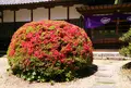 霊山院の写真_74534