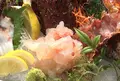 いけす料理宗弘の写真_172468
