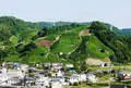 和束町役場の写真_175683