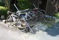 帝松の写真_30516