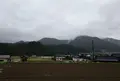 らいらっくの写真_32985