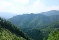 多々良木ダム湖の写真_38929