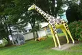 愛宕坂茶道美術館の写真_44306