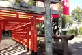 水前寺成趣園の写真_54550