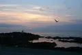 黄金岬海浜公園の写真_79531