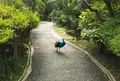 ウォーキングアベニューの写真_1014269