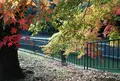 東山自然緑地の写真_124108