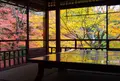 瑠璃光院の写真_1265588