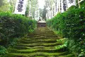 杉本寺の写真_154951