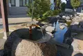 芹川清水の写真_202504