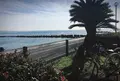 鎌倉海浜公園の写真_207270