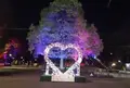 上野恩賜公園（上野公園）の写真_213092