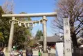 浅草神社（三社さま）の写真_222305