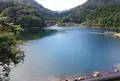 碓氷湖の写真_308859