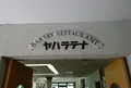 ヤハラテナの写真_309240
