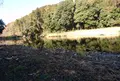 嵐山渓谷の写真_320760