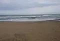 琴ケ浜の写真_459618