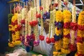 リトル・インディアの写真_488137