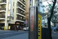 さくら通り（渋谷駅前）の写真_515600