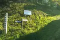 伊勢山自然公園の写真_571270